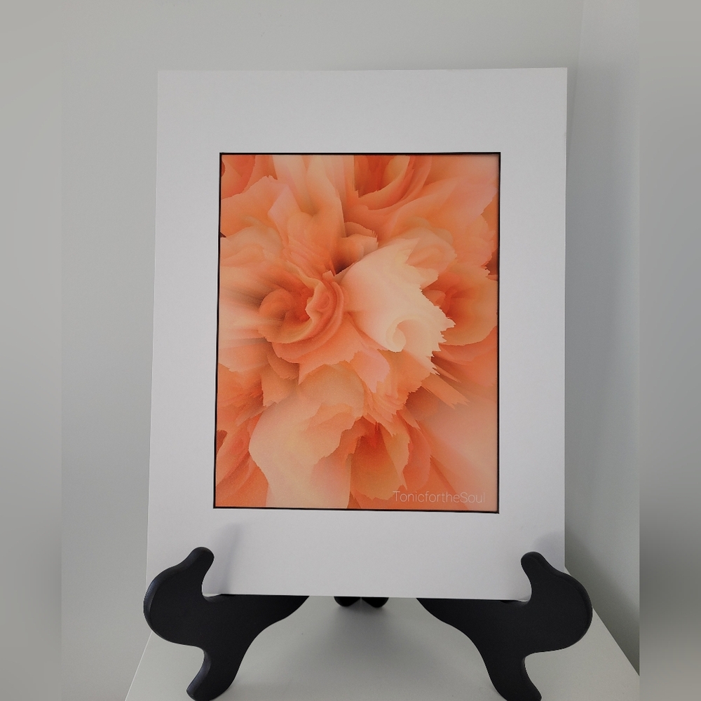 Art Print -Peach blooms
